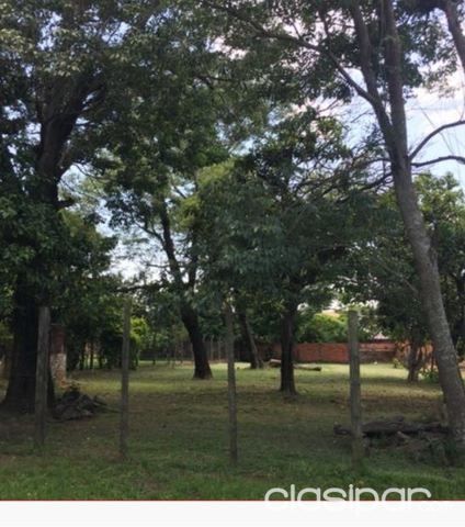 Vendo Hermoso Terreno en Mariano Roque Alonso sobre la calle Tte. Irala, dimensiones 20 x 47. 60 mts (952 mts2) — foto 2