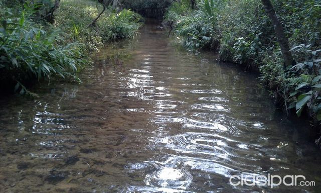 Vendo Hermoso Terreno con Arroyo — foto 3