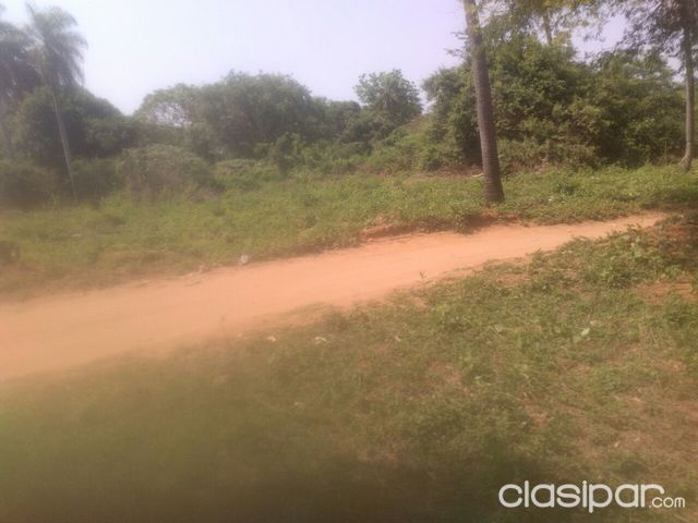 3 TERRENOS EN LIMPIO — foto 2