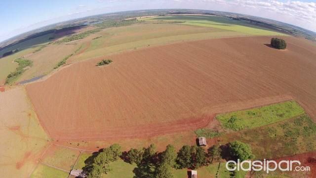 Hernandarias campo agricola — foto 2