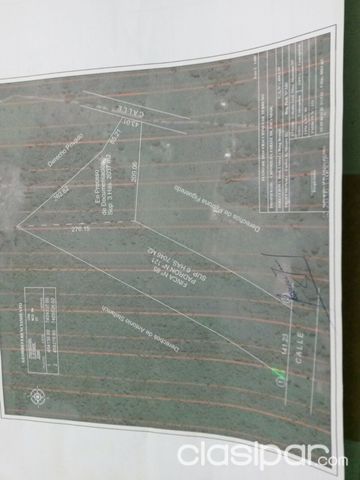 VENDO HERMOSA GRANJA 10hta A 9KM DE CONCEPCION — foto 2