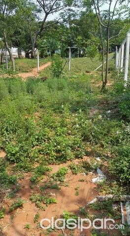 Vendo terreno en San Antonio a 20 cuadras del puerto, especial para depósito o inversionistas — foto 2