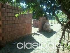 Vendo terreno zona luque-laurelty, fraccion mburucuya — foto 2