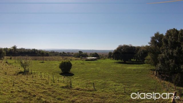 Vendo Terreno de 160 Hectáreas..zona ybycui sin intermediarios — foto 3