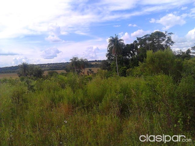 OFERTO PROPIEDAD DE 22 HECTÁREAS. — foto 2