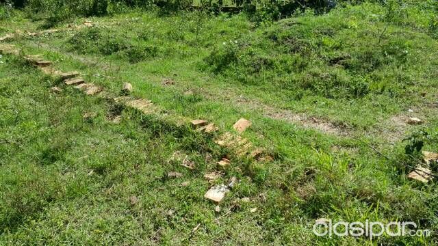 Vendo Hermoso Terreno En San Lorenzo Bo Anahi — foto 3