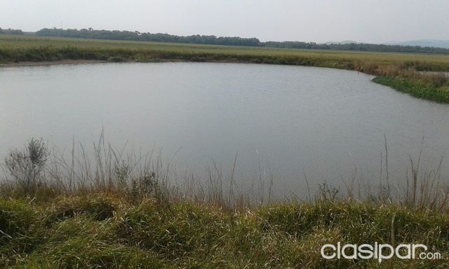 VENDO ESTANCIA EN ÑUMI - GUAIRA — foto 3