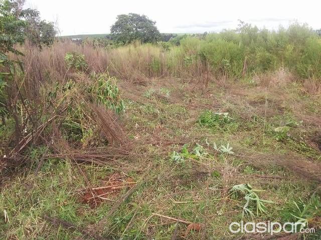 Vendo Lote De 6 Hectáreas Y 500m. Titulado Impuestos Al Dia — foto 2