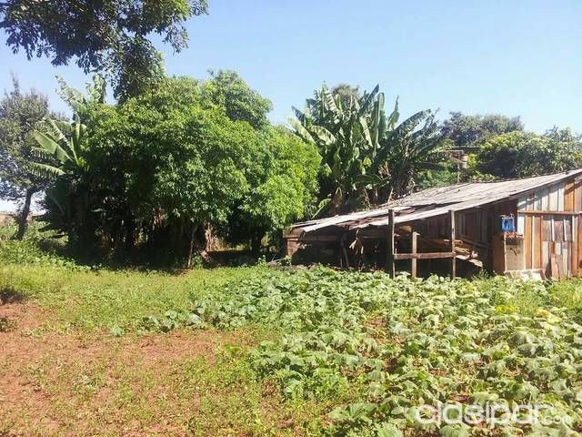 Vendo Lote De 6 Hectáreas Y 500m. Titulado Impuestos Al Dia — foto 3