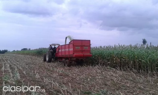 RANCHO, CAMPO DE 30 HECTÁREAS EN SAN JUAN BAUTISTA, MISIONES!!! — foto 2