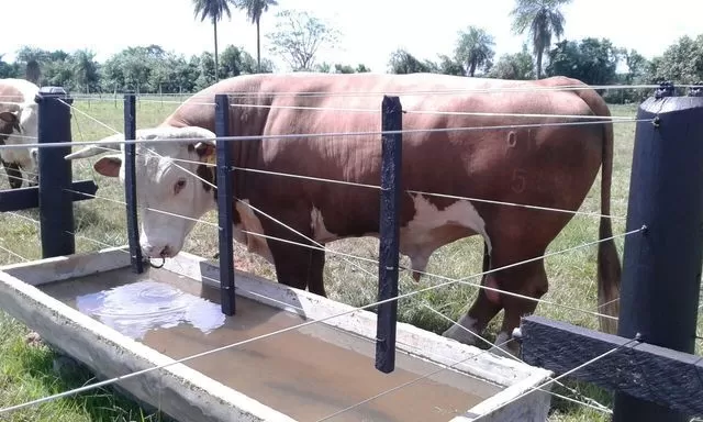 RANCHO, CAMPO DE 30 HECTÁREAS EN SAN JUAN BAUTISTA, MISIONES!!! — foto 3