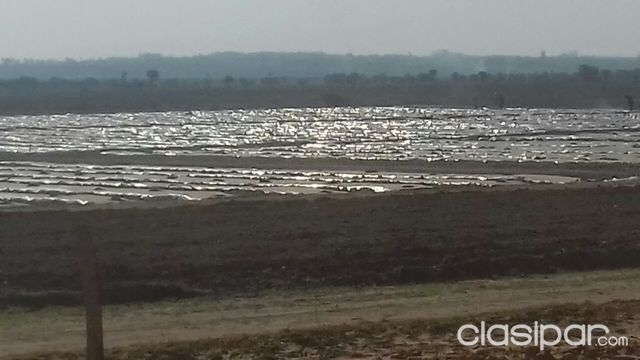 VENDO CAMPO DE 324 HECTAREAS CAMINO A ITA — foto 2