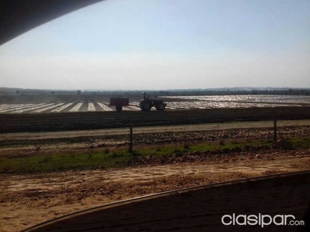 VENDO CAMPO DE 324 HECTAREAS CAMINO A ITA — foto 3