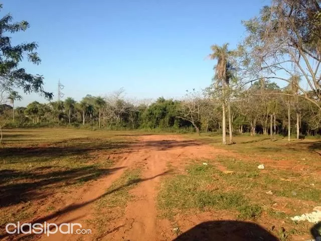 ZONA IPS DE LUQUE!!!! 6 TERRENOS JUNTOS O SEPARADOS!! — foto 2