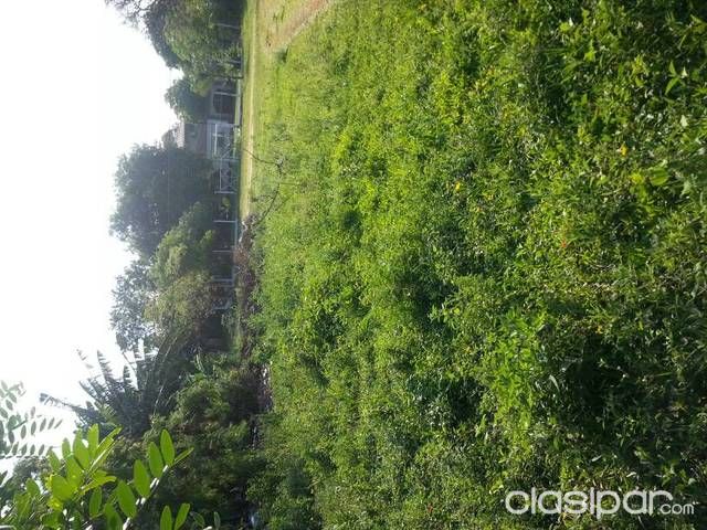 Vendo terreno en Luque — foto 3