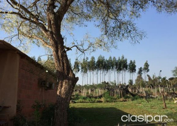 CADEL Group. Vende Granja Claudia Romina - Caaguazú — foto 2