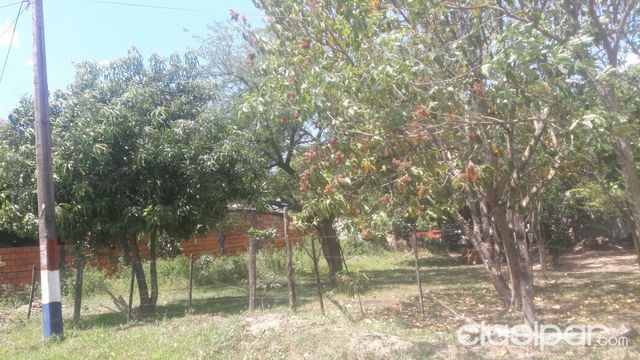 Oferta!! dos terrenos juntos.. — foto 2