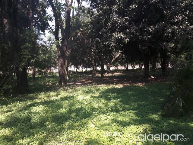 ATENCIÓN INVERSIONISTAS VENDO PROPIEDAD TIPO CASA 5TA EN ÑEMBY 9700 M2 600 METROS DE ACCESO SUR — foto 2
