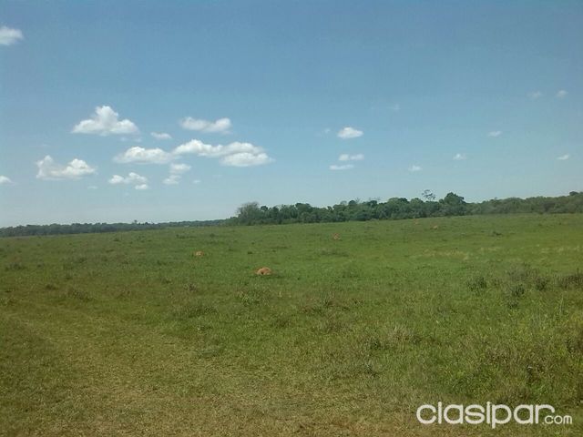 !!OFERTA TIERRA DE 1RA SAN PEDRO DEL PARANA — foto 2