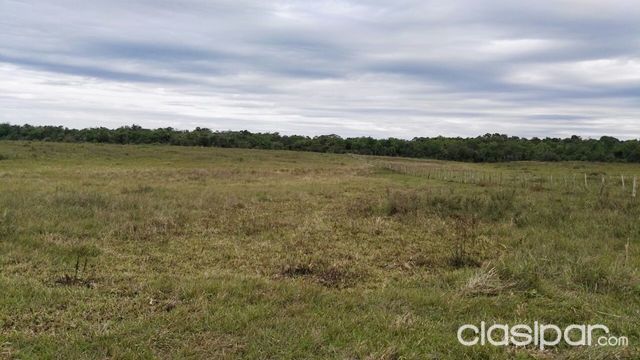 !!OFERTA TIERRA DE 1RA SAN PEDRO DEL PARANA — foto 3