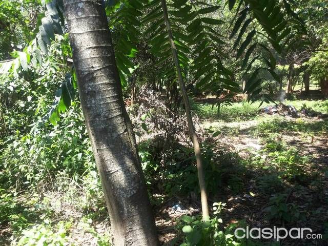 Vende dueñocasa con 2 terrenos — foto 3