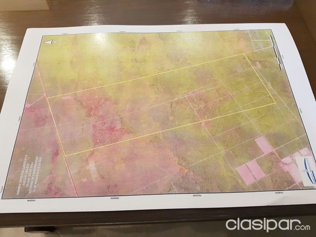 Vendo 5000 hectáreas en el Chaco, zona de Fortín Tte. Pico - Departamento de Boquerón — foto 2