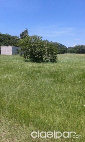 Terrenos en Ypacarai — foto 2