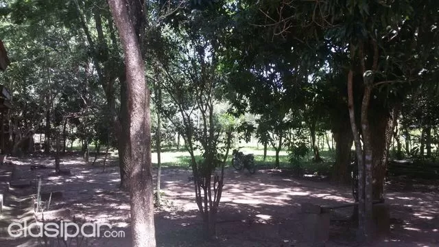 TERRENO CON CASA EN EUSEBIO AYALA — foto 2
