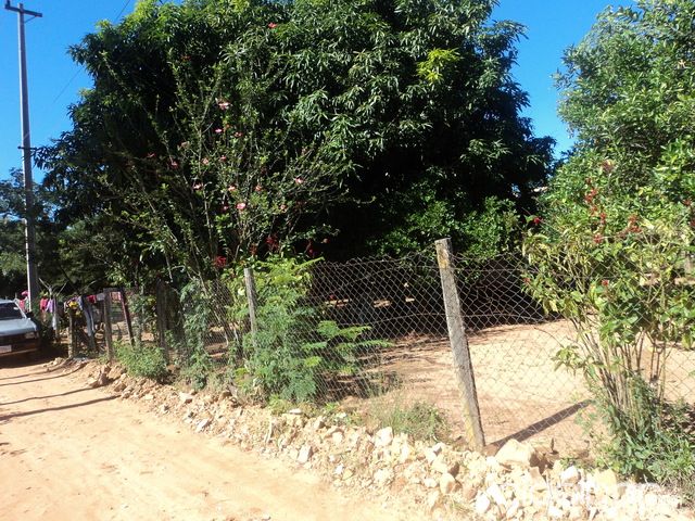VENDO HERMOSO TERRENO EN PIRIBEBUY 600 m2 A 60 MTS DE LA RUTA ASFALTADA — foto 2