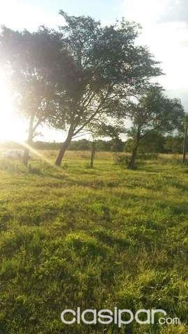 Tu Casa Quinta en Ypacarai - Compañia Pedrozo km 44,5.!!! — foto 2