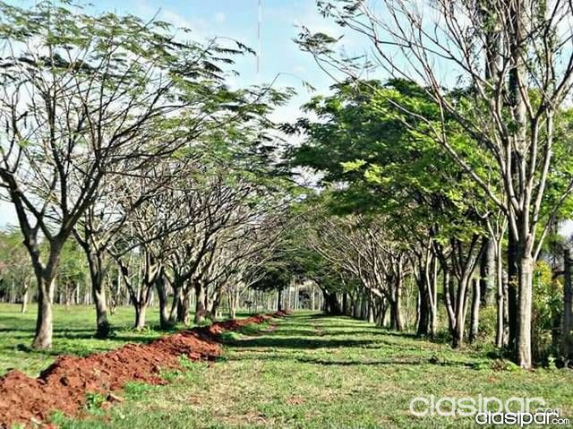 PARQUE NARANJAISY VILLETA — foto 2