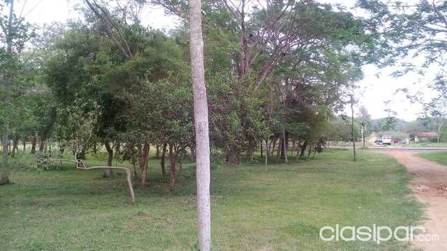 HERMOSO TERRENO EN LUQUE ZONA PODER ZONA RUTA LUQUE SAN BER — foto 2