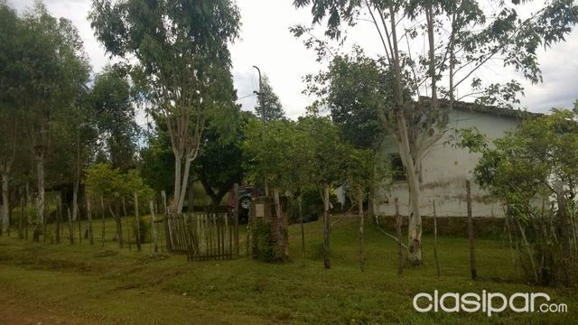 VENDO CASA EN ITACURUBI DE LA CORDILLERA,RODEADA DE ARBOLES,A METROS DEL ARROYO. — foto 2