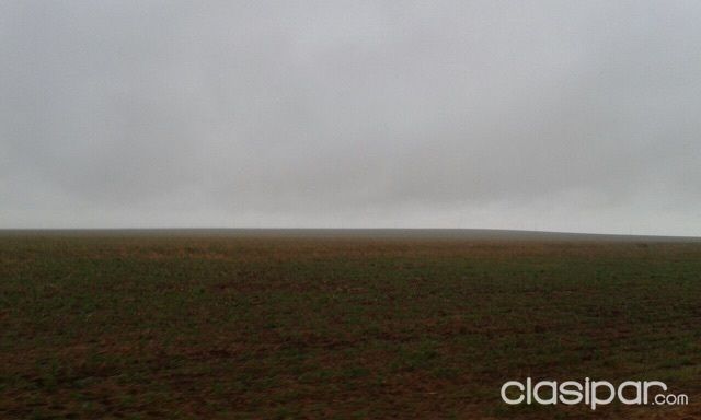 6.000 Hectareas Canindeyu - Marangatu — foto 2