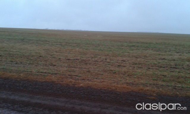 6.000 Hectareas Canindeyu - Marangatu — foto 3