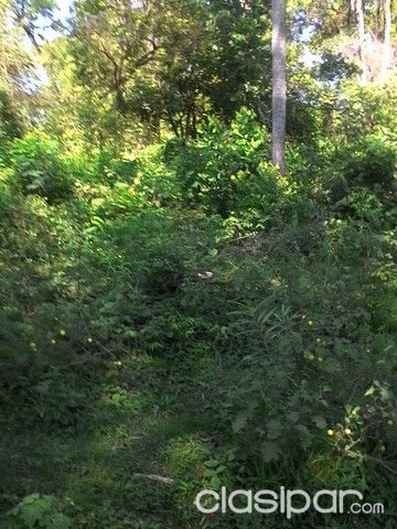 VENDO 4 (CUATRO) TERRENOS EN ATYRA, ZONA LA CANDELARIA A 65.000.000 CU — foto 3
