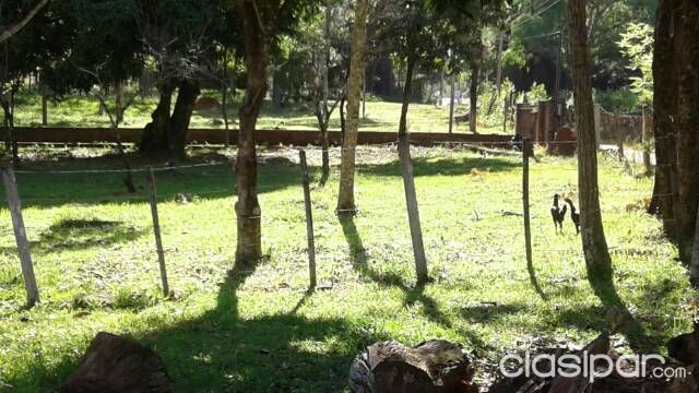Quinta En Felix Perez Cardozo — foto 3