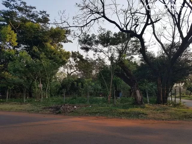 TERRENO EN SAN ANTONIO - B° SAN BLAS - 391 m2.- — foto 3