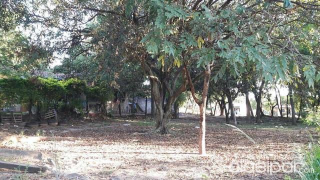 OFERTO LOTES SOBRE ASFALTO EN LUQUE- ZONA CURVA ROMERO.FINANCIO — foto 2