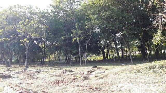 OFERTO LOTES SOBRE ASFALTO EN LUQUE- ZONA CURVA ROMERO.FINANCIO — foto 3