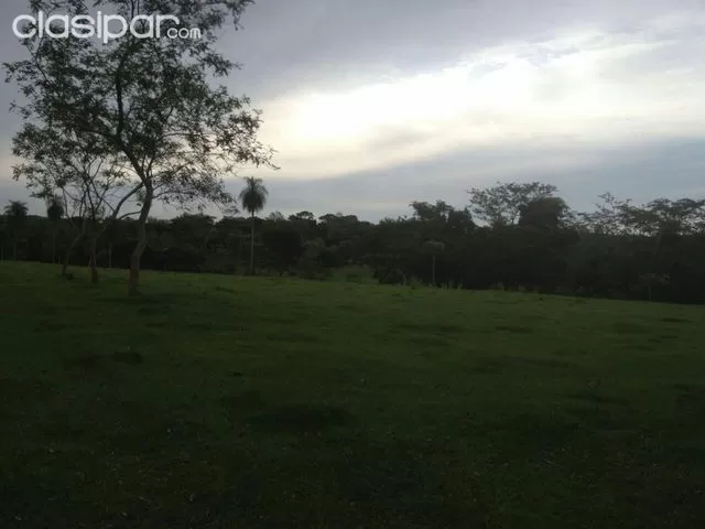 20 HAS EN CORDILLERA A 3 KLMTS DEL ASFALTADO — foto 2