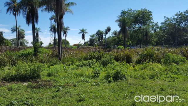 Vendo Amplio Terreno en Isla Bogado luque — foto 2