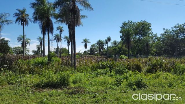 Vendo Amplio Terreno en Isla Bogado luque — foto 3