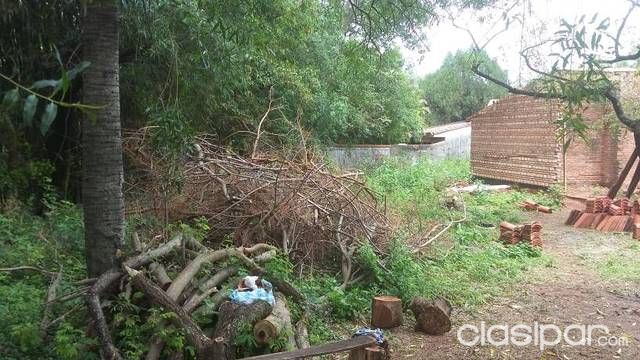 Terreno en San Lorenzo — foto 2