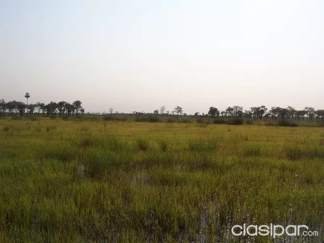 CAMPO EN BAHIA NEGRA CHACO 12.100 HECTAREAS - OFERTA! — foto 3