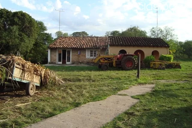 Vendo En Arroyos y Esteros Granja Agro-ganadera Diversificada, de 37,5 Ha. — foto 2