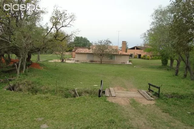 Vendo En Arroyos y Esteros Granja Agro-ganadera Diversificada, de 37,5 Ha. — foto 3