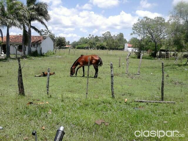 Oferta terreno en villa florida. — foto 2
