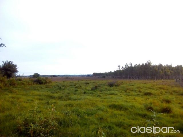 VENDO PROPIEDAD RURAL EN JURISDICCIÒN DE VILLETA — foto 2