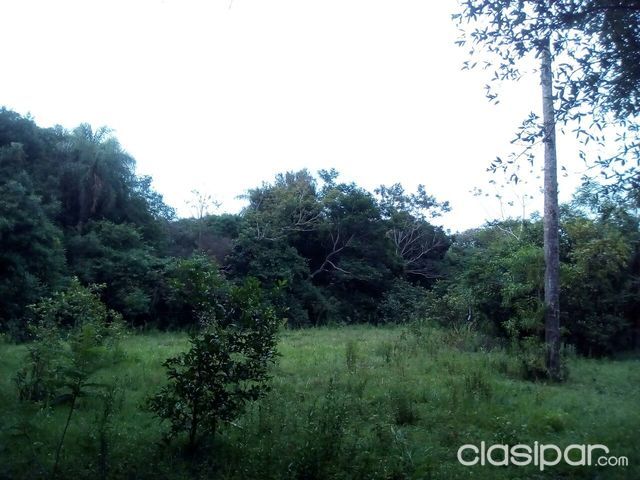 VENDO PROPIEDAD RURAL EN JURISDICCIÒN DE VILLETA — foto 3
